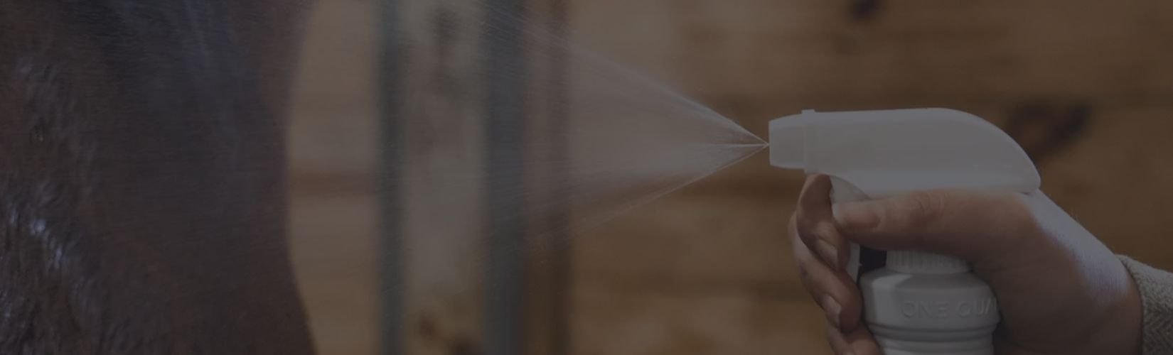 The Ultimate Fly Spray Comparison for Your Horse