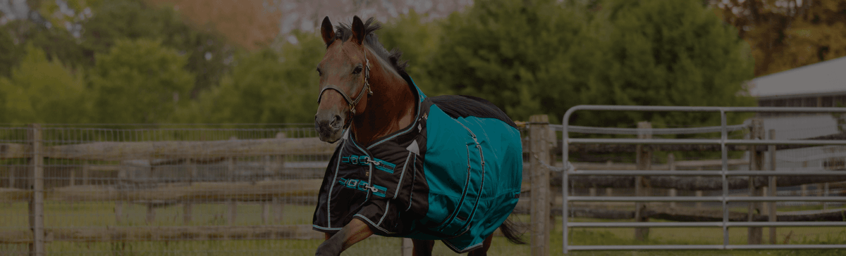 Best Blankets for High-Withered Horses: The VTEK® Wither Relief Difference