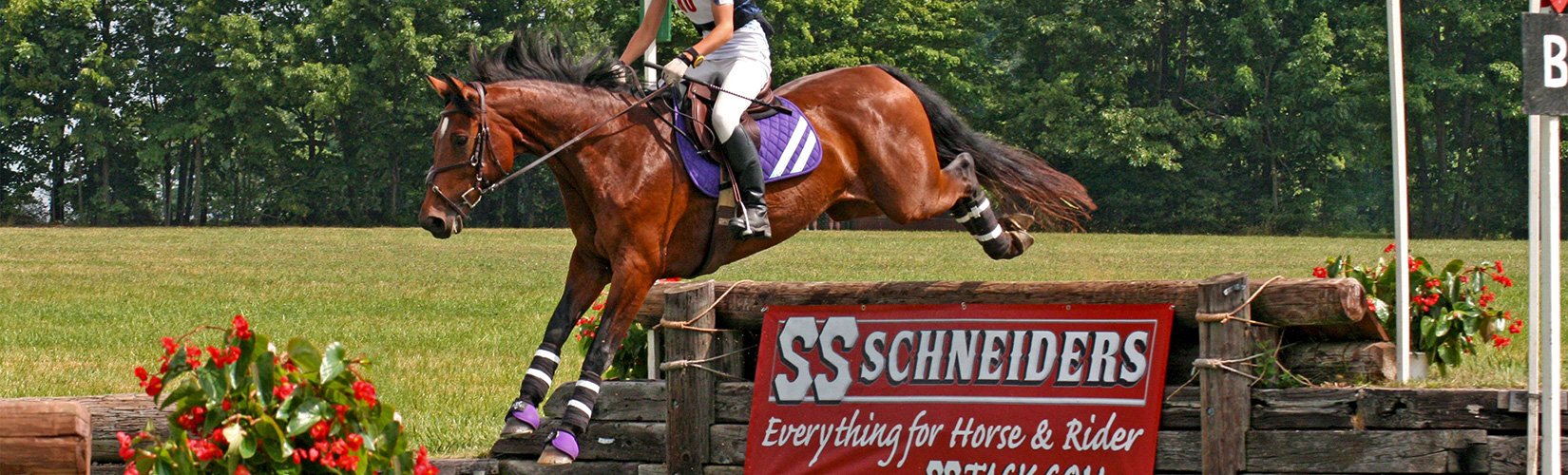 A Hunter-Jumper's First Eventing Combined Test