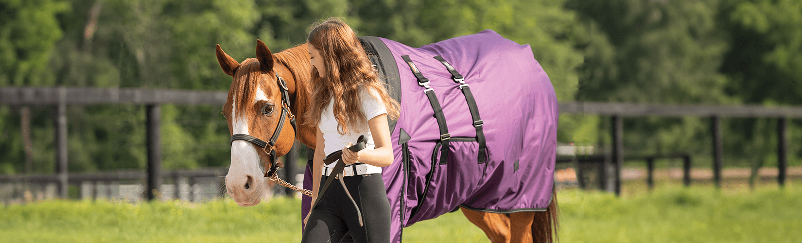 New and Improved Schneiders® | Schneider Saddlery
