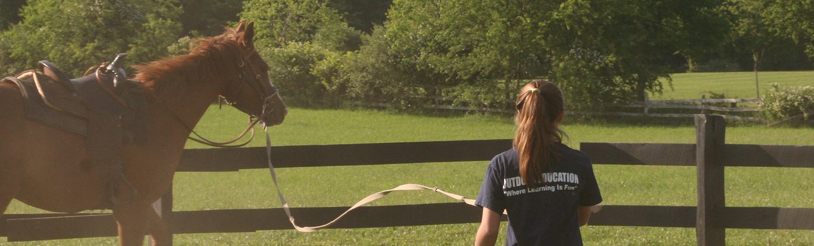 Horse Camp for Beginners