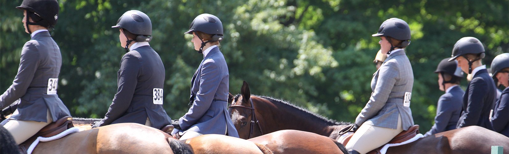 Choosing an Equine College