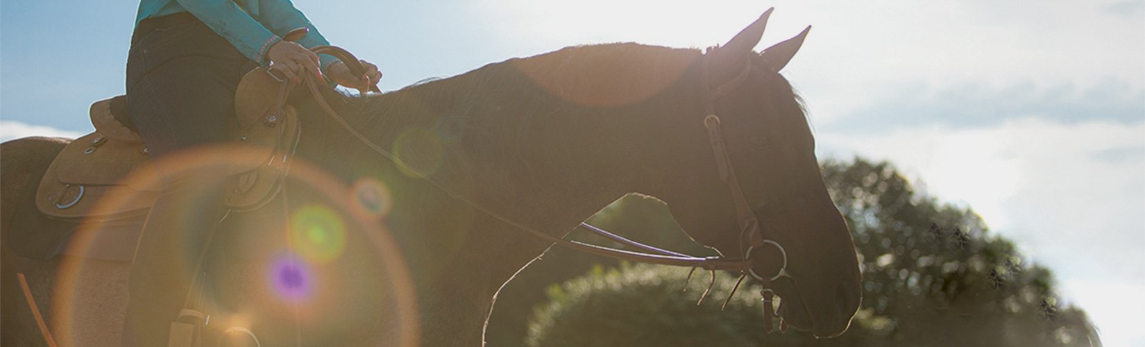 U.S. Trail Riding Destinations