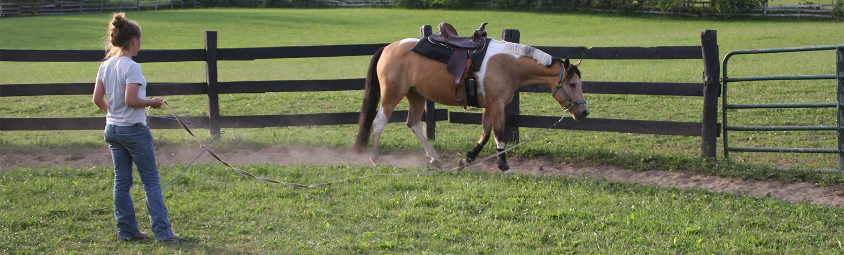 Top 10 Ways for Equestrians to Take Advantage of Downtime