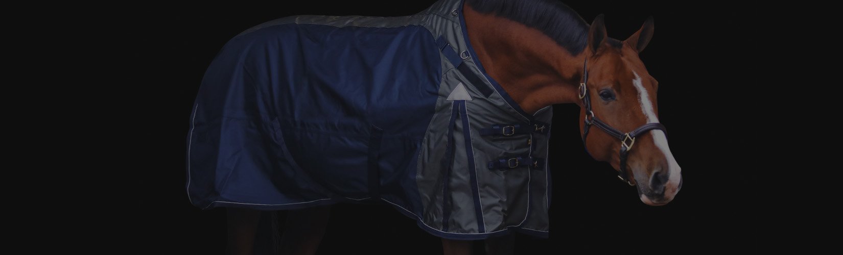 Top 10 Horse Blankets for Winter