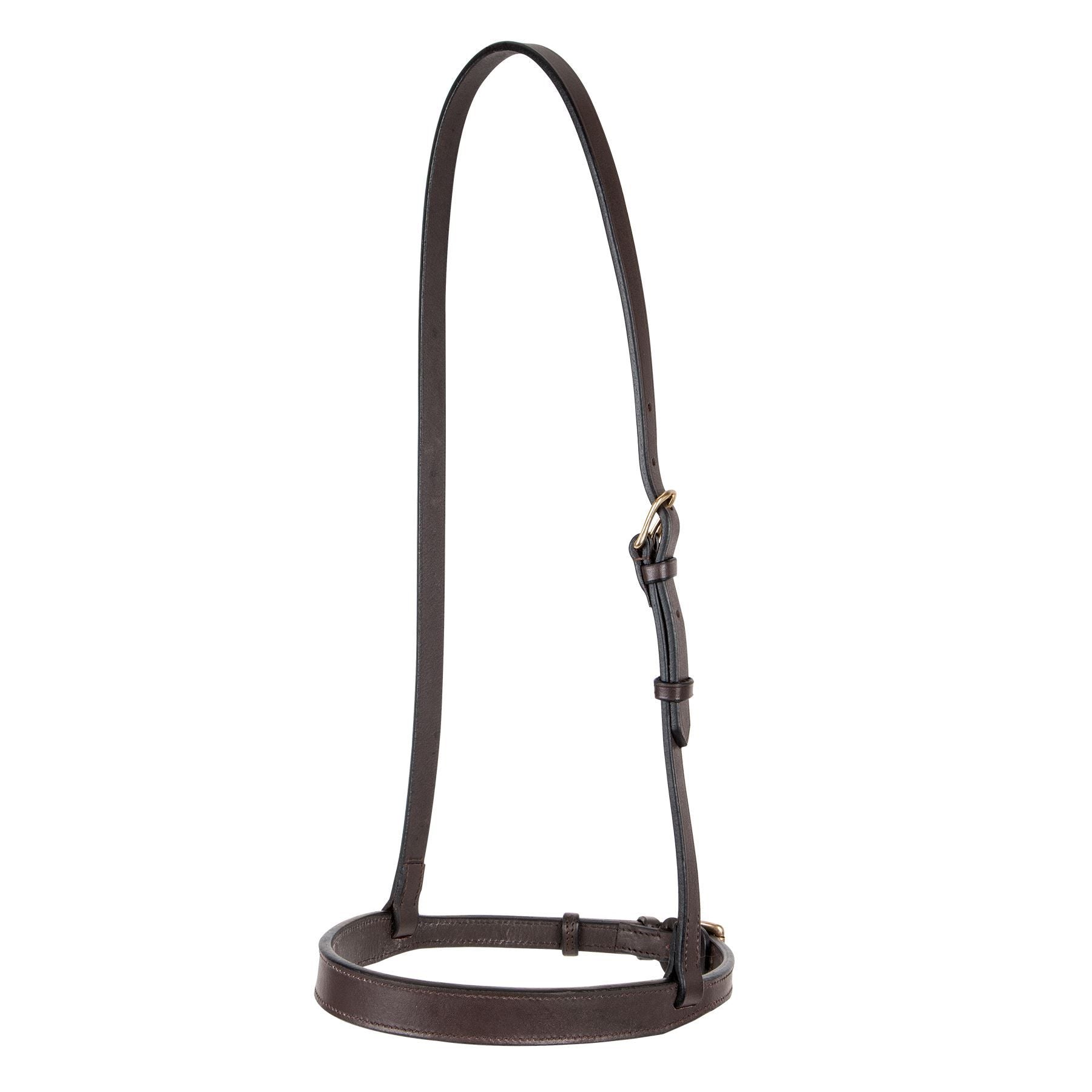 Premier Straight Nose Training Caveson for Horses