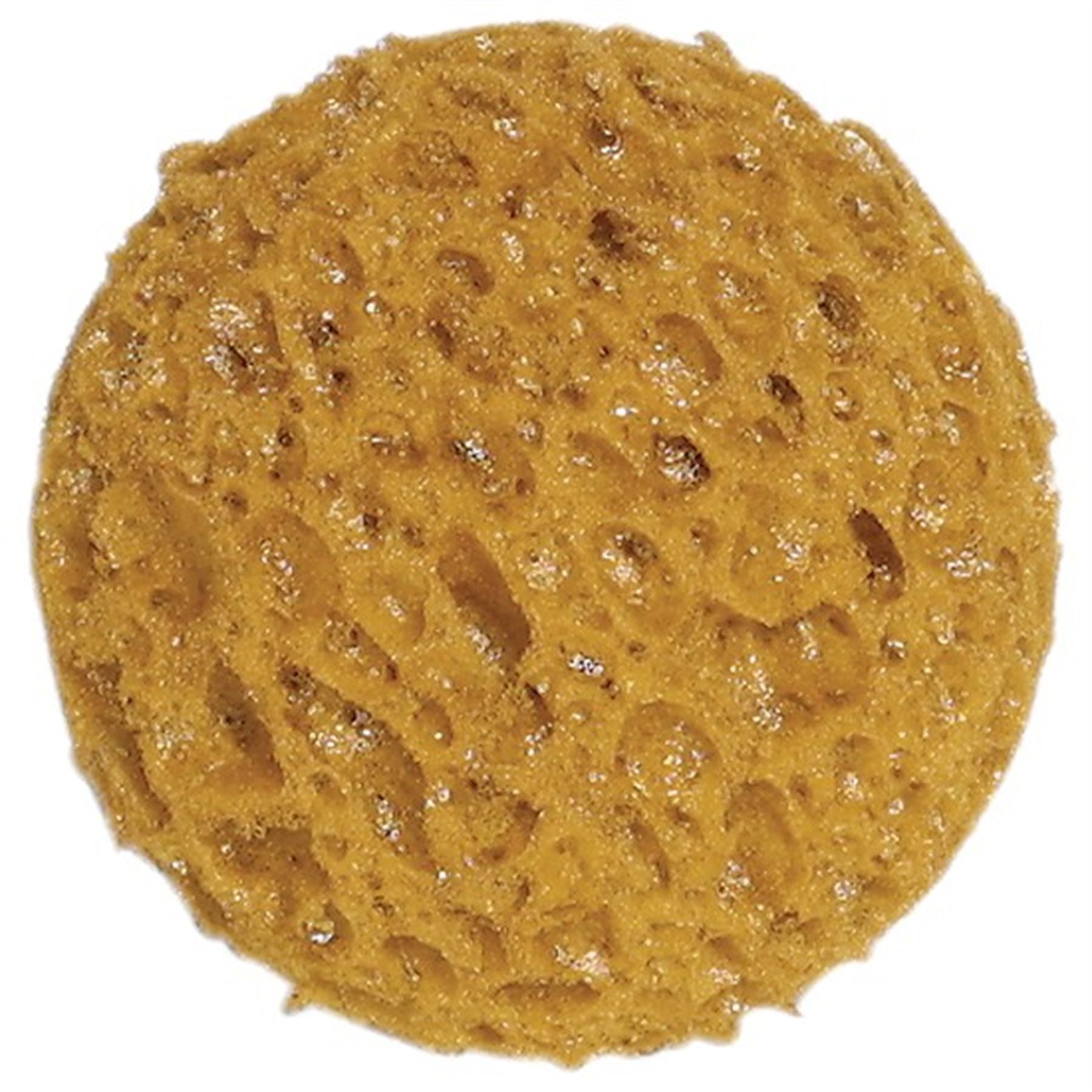 Small Tack Sponge