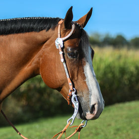 Billy Royal® Engraved One Ear Headstall
