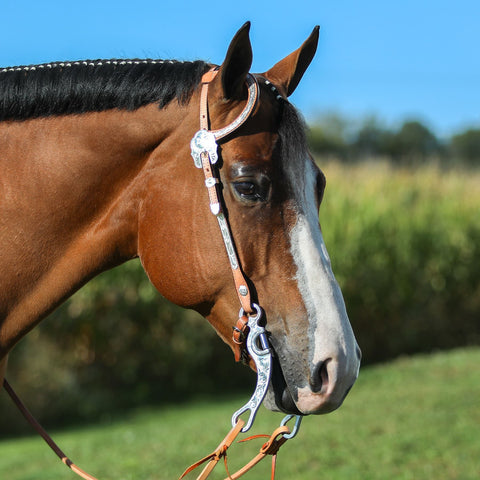 Billy Royal® Engraved One Ear Headstall