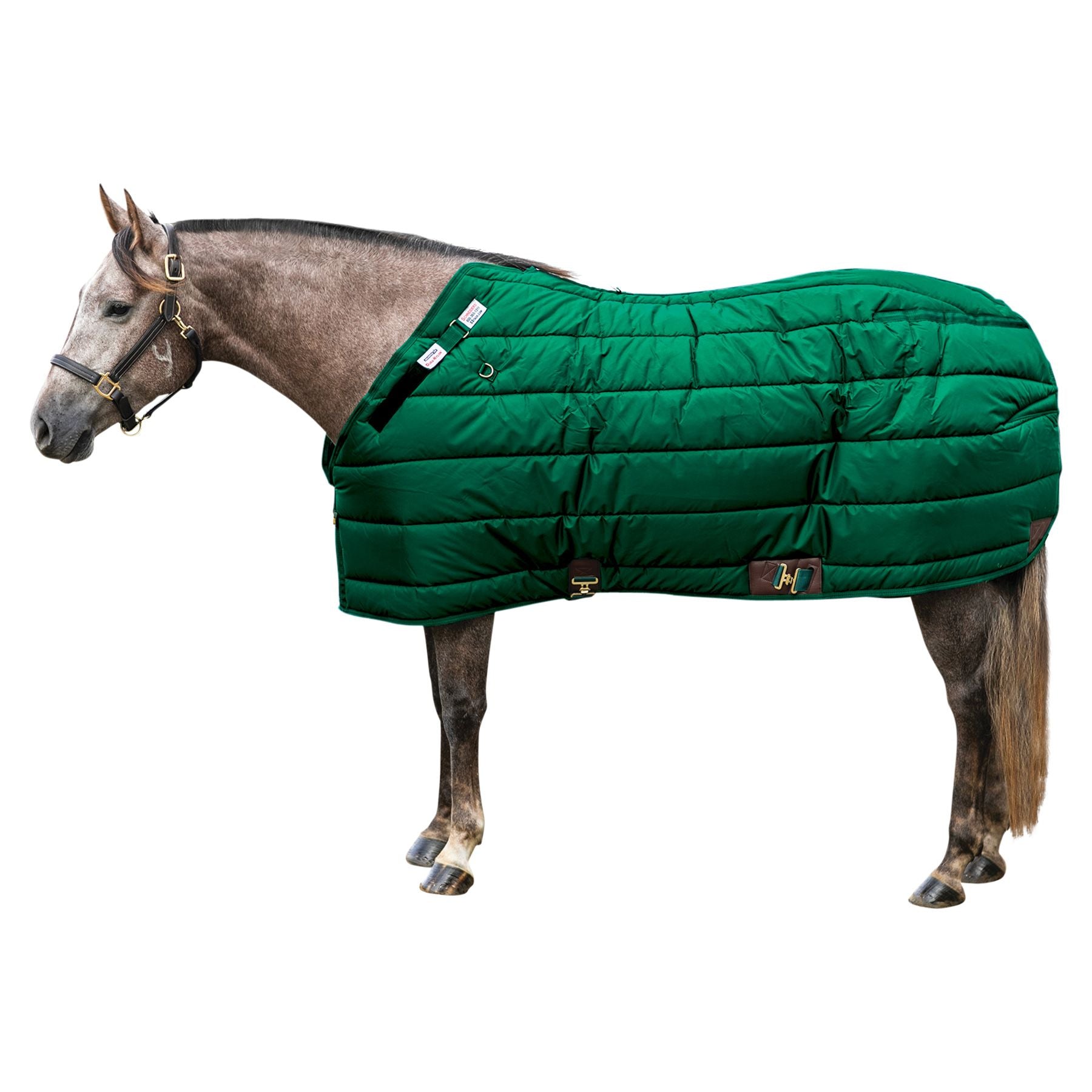 variant_image_green