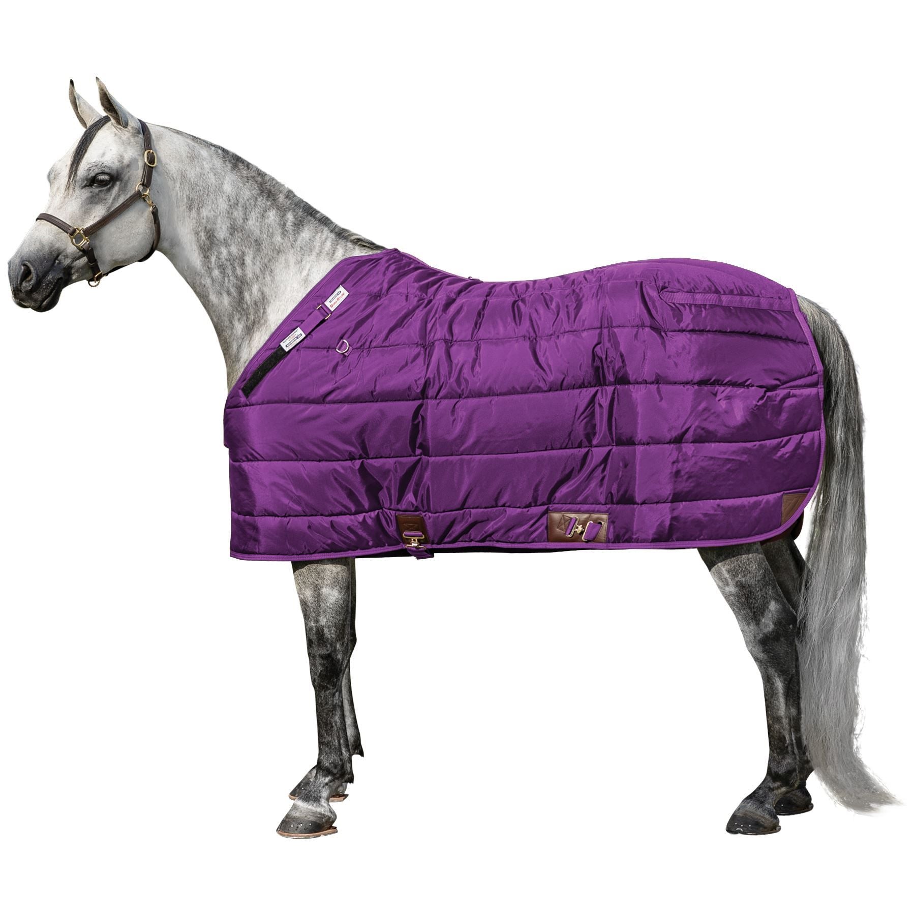 variant_image_purple
