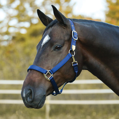 Dura-Tech® Supreme Triple Ply Nylon Halter with Brass Grommets