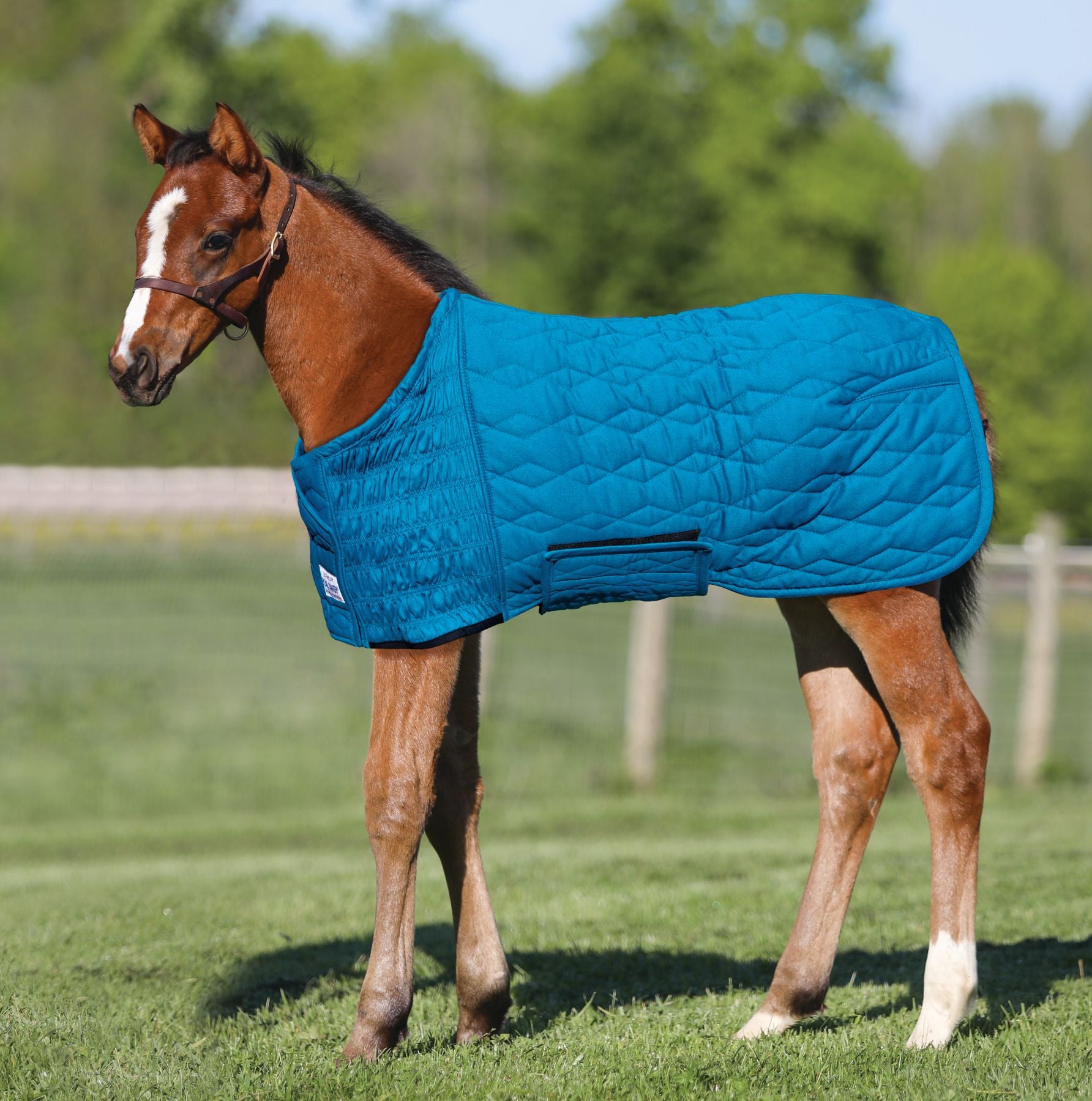 UltraFlex® Foal Saver® Lightweight Blanket