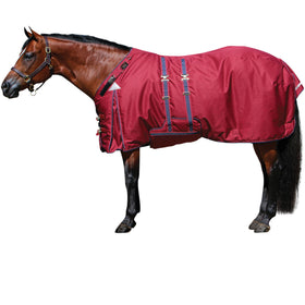 ARMORFlex® Challenger II V-Free® Wither Relief Adjusta-Fit® Bellyband Turnout Blanket