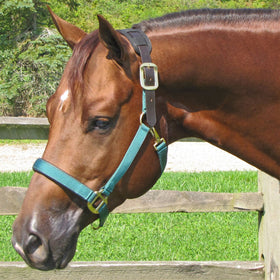 Dura-Tech® Comfort Plus Nylon Breakaway Halter