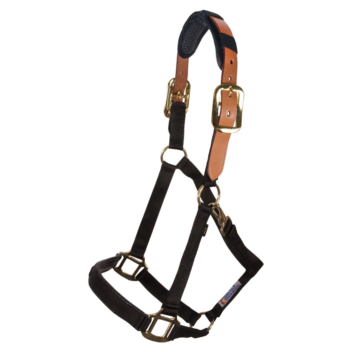 Breakaway Halters | Schneiders Saddlery