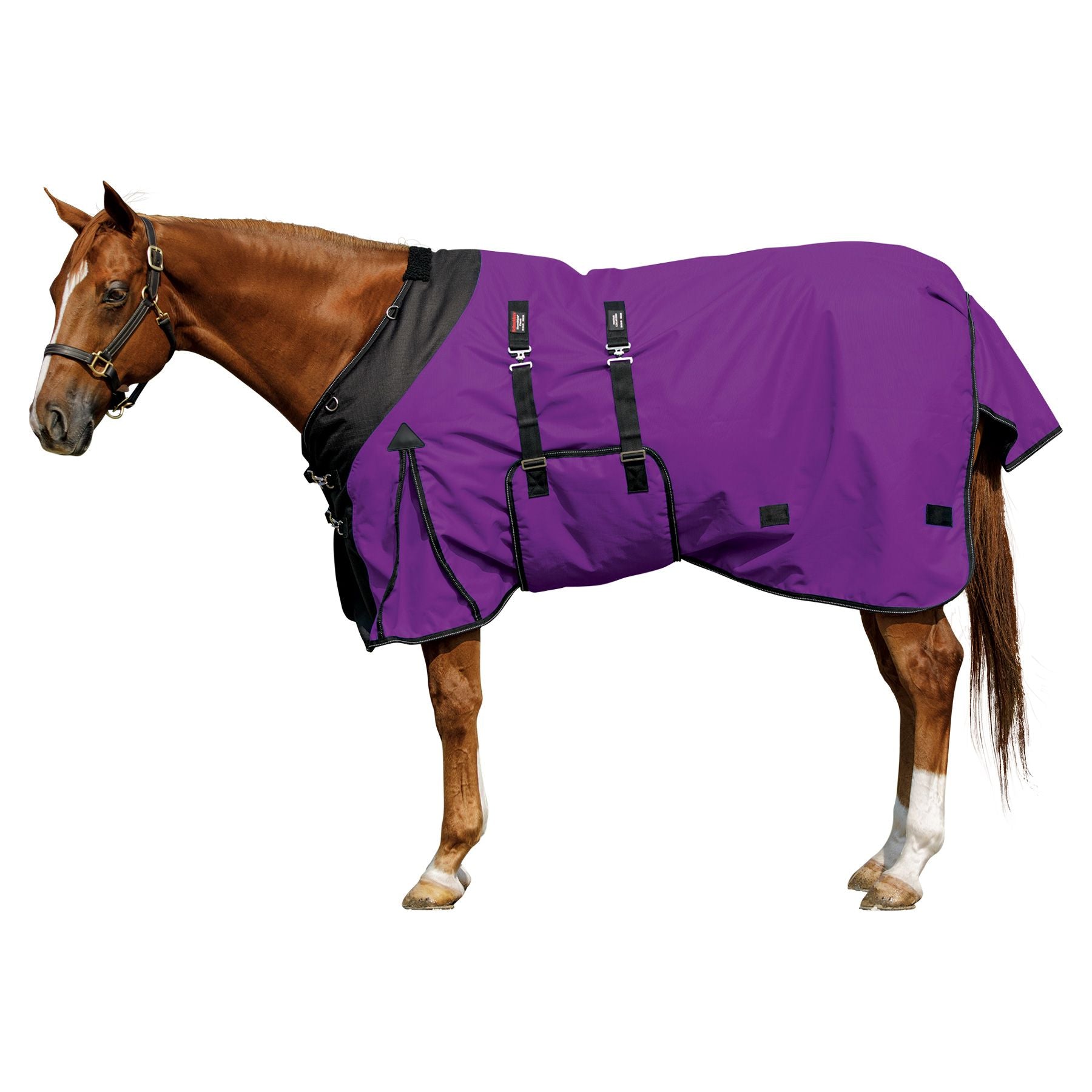 variant_image_merge_31097_purple