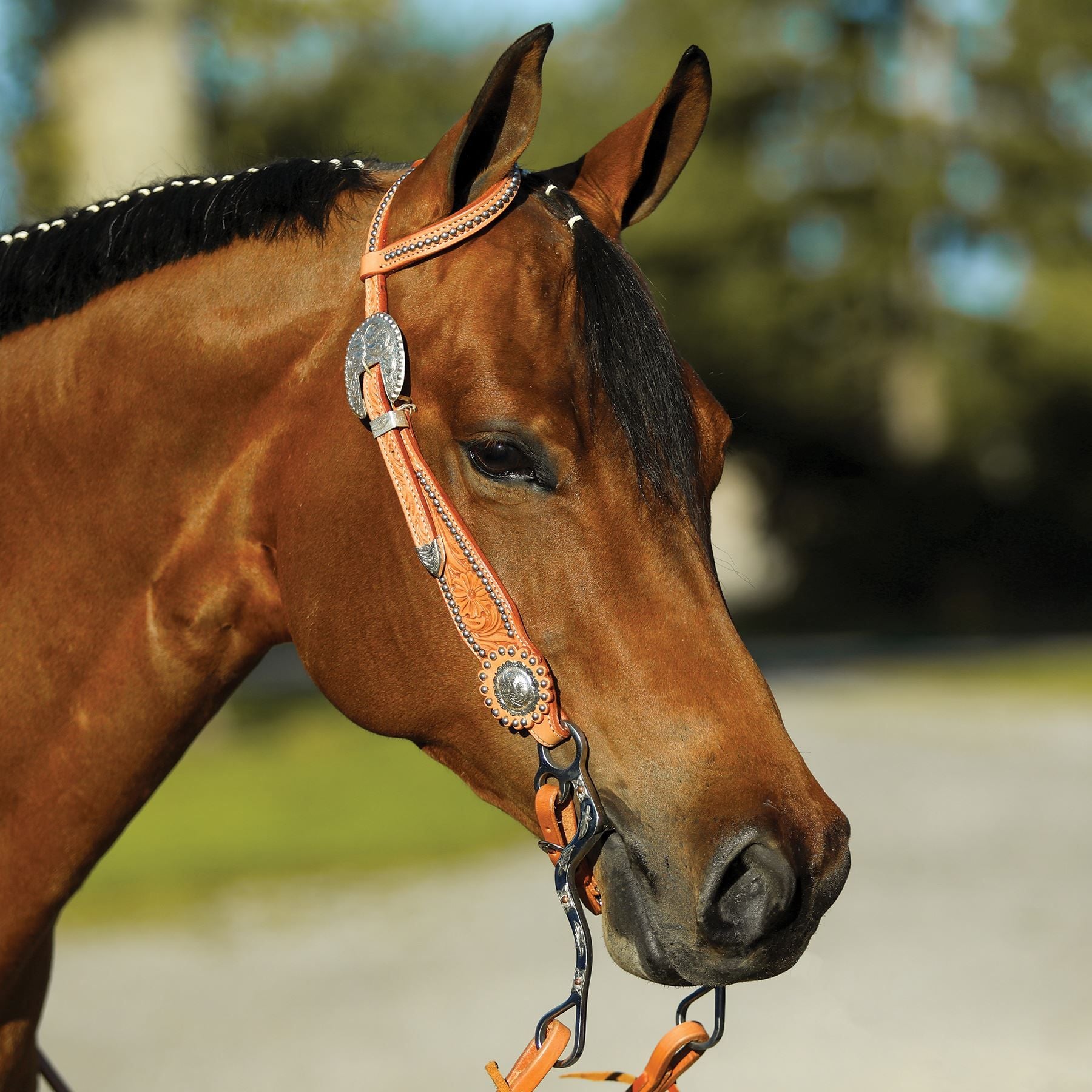 Double S Tool Flare Cheek Stud One Ear Bridle