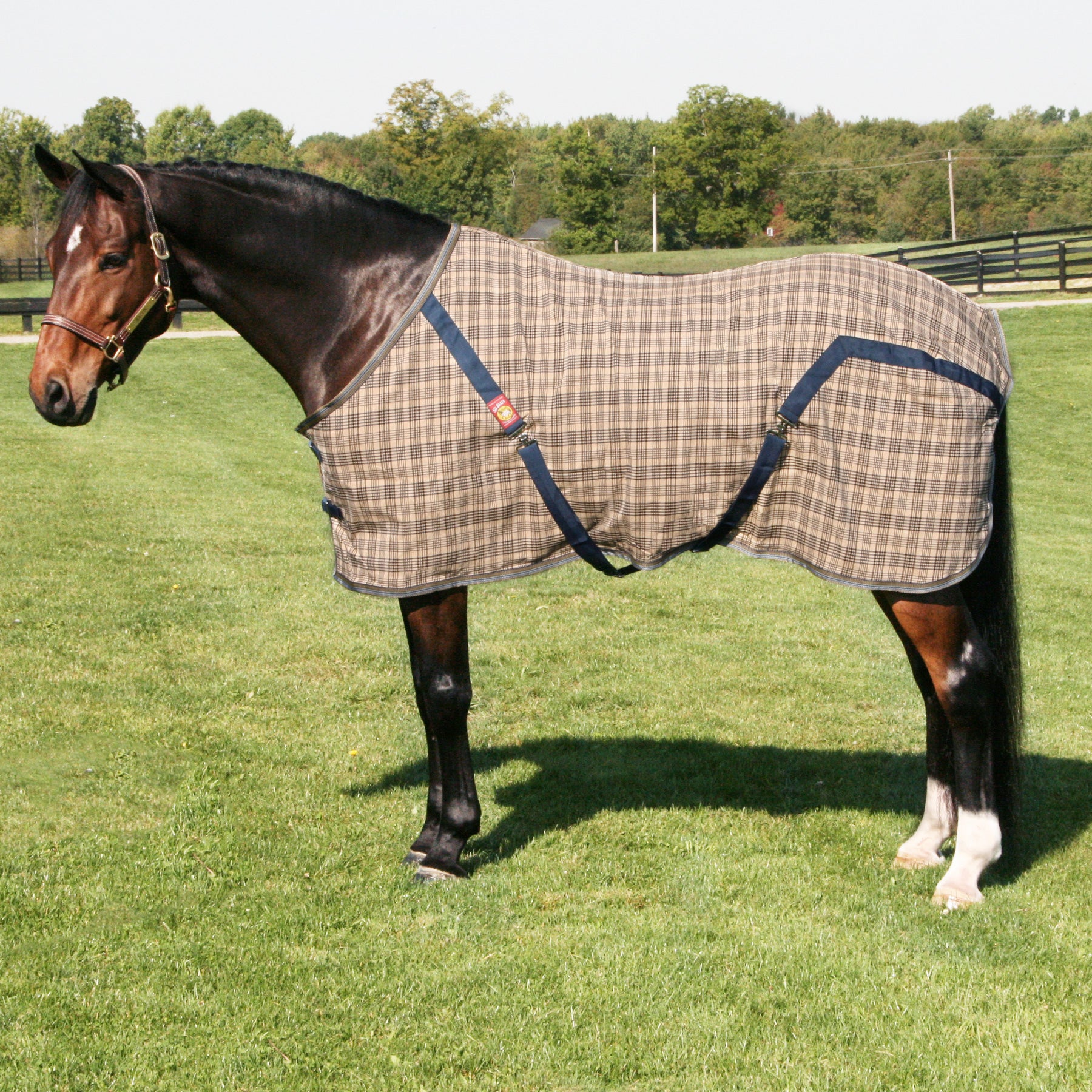 5/A Baker Original Stable Sheet