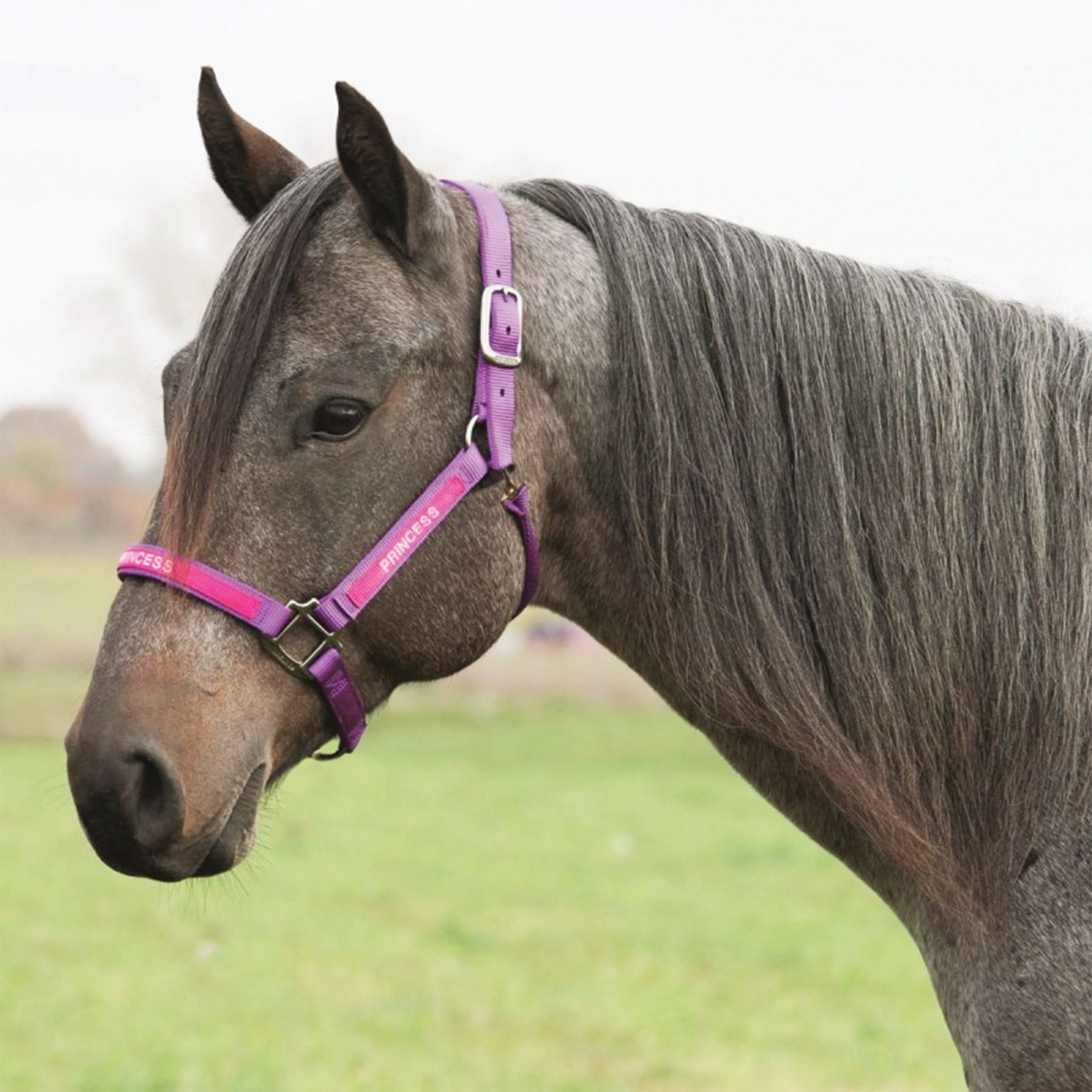 Weaver Embroidered Nylon Halter