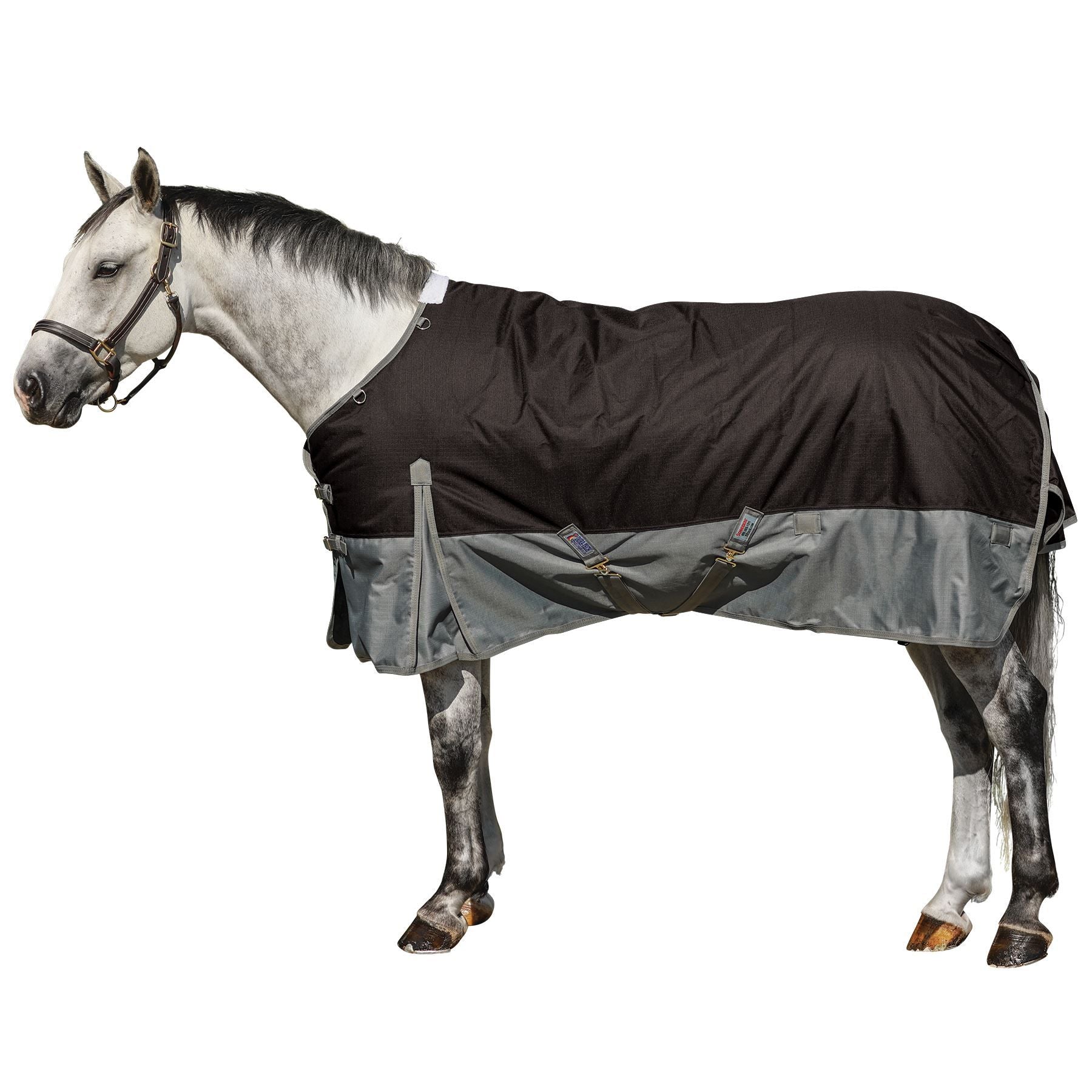 variant_image_blackgray