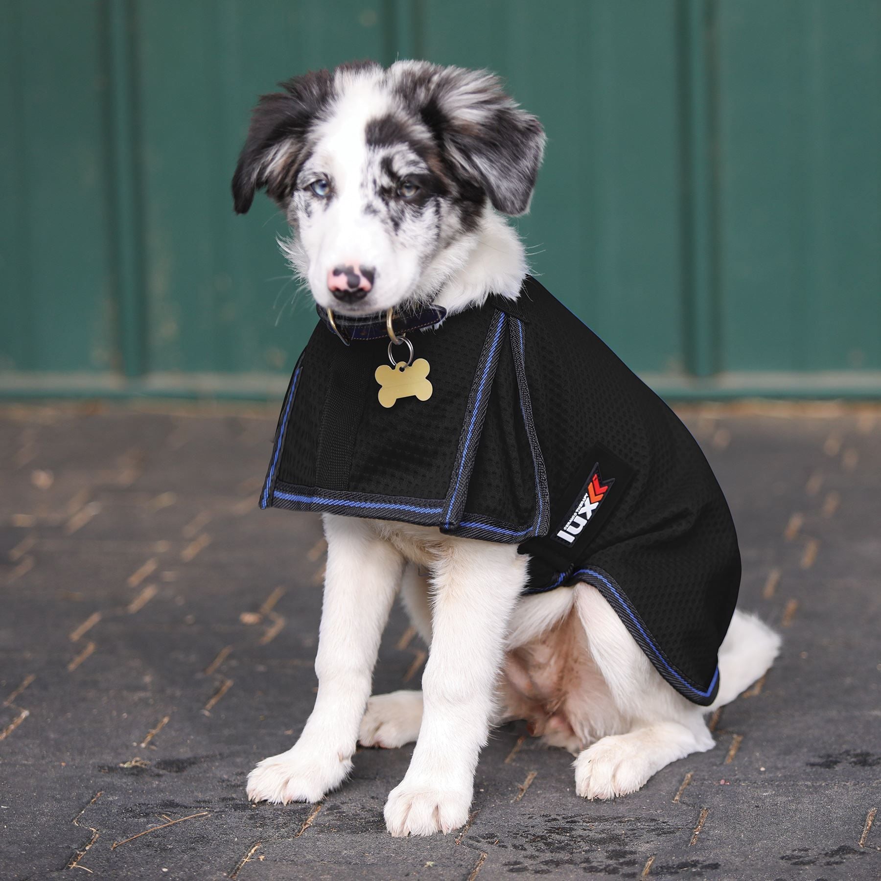 LUX Ceramic Therapy® Mesh Dog Coat