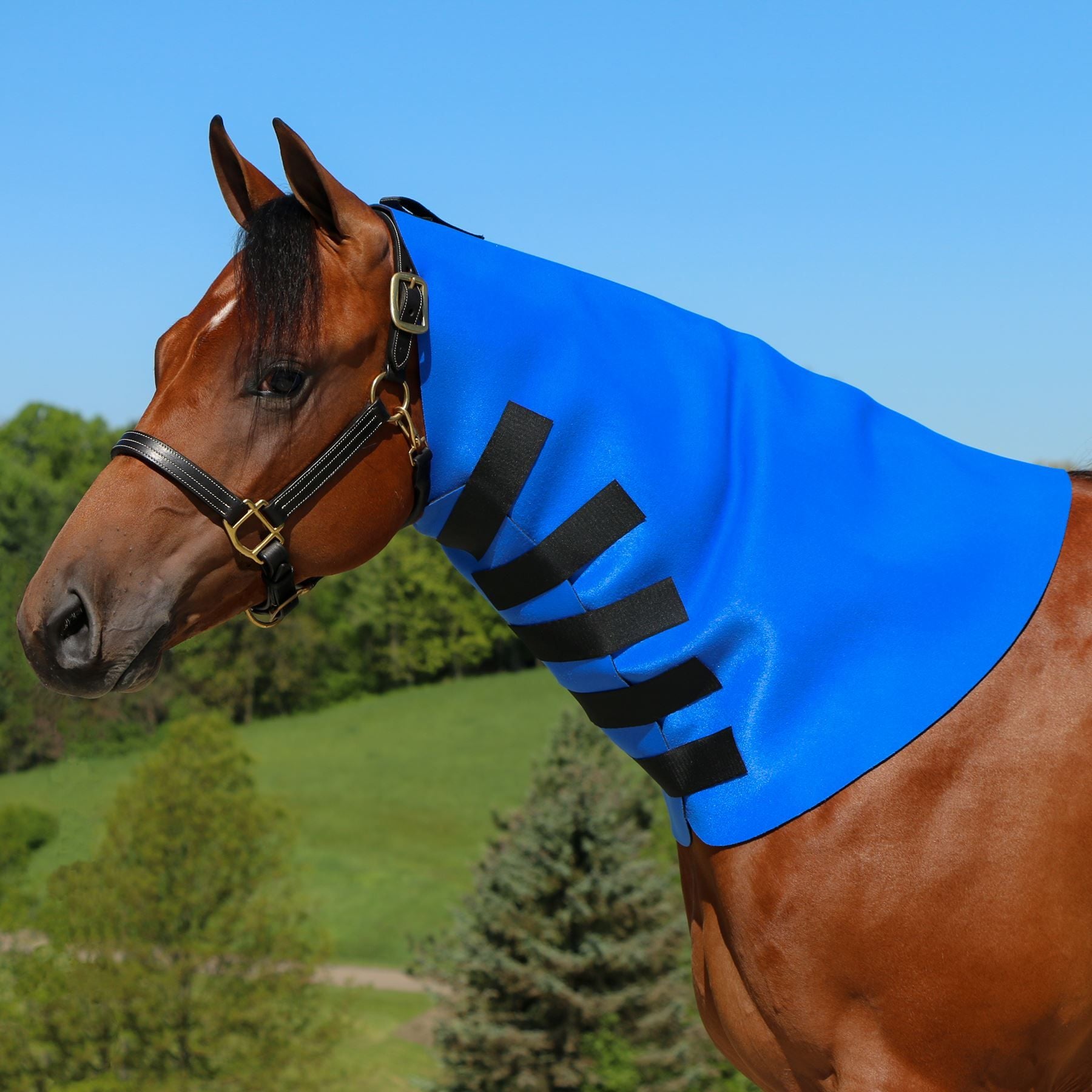Dura-Tech® Superior Neck Sweat