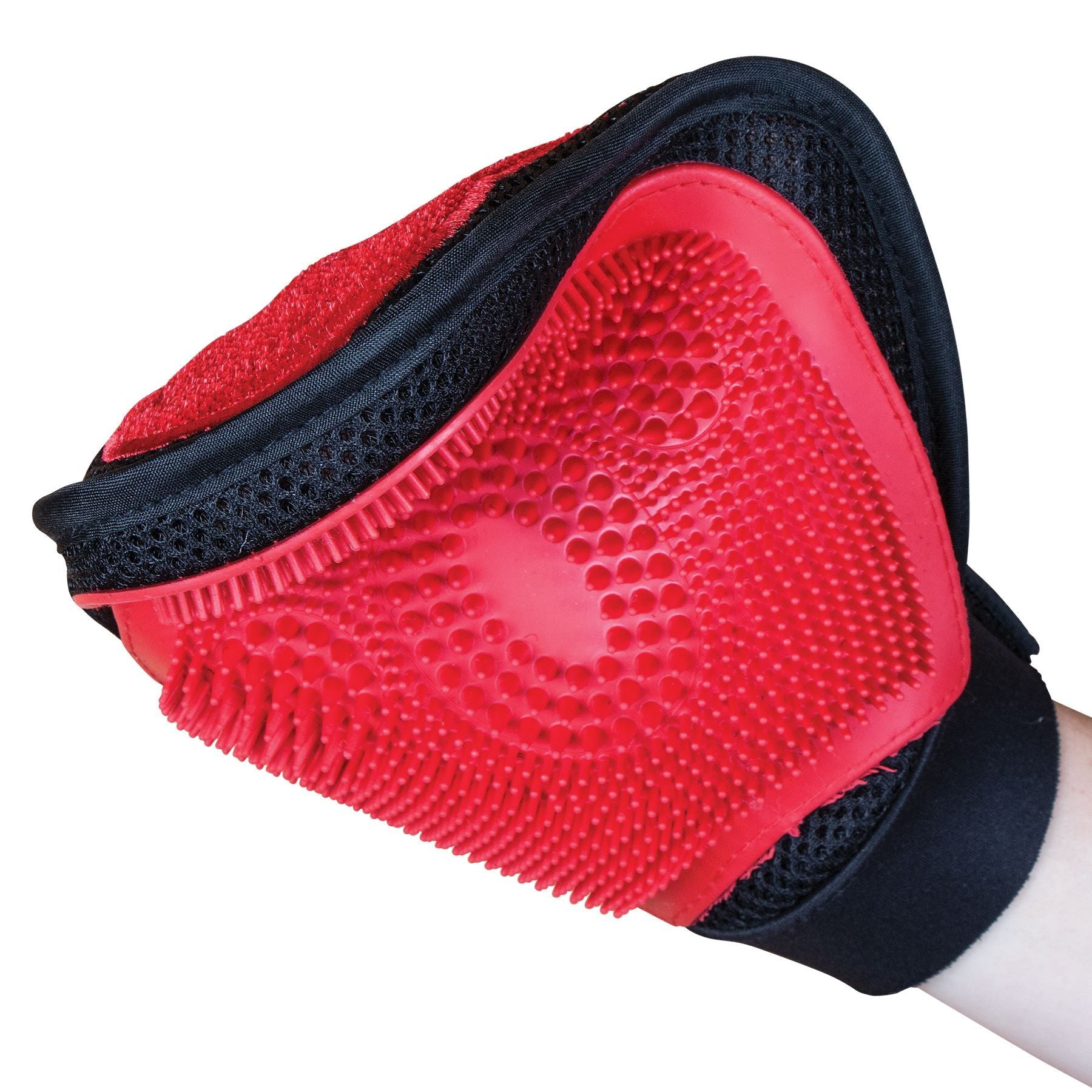 Schneiders Scrub and Shine Grooming Mitt