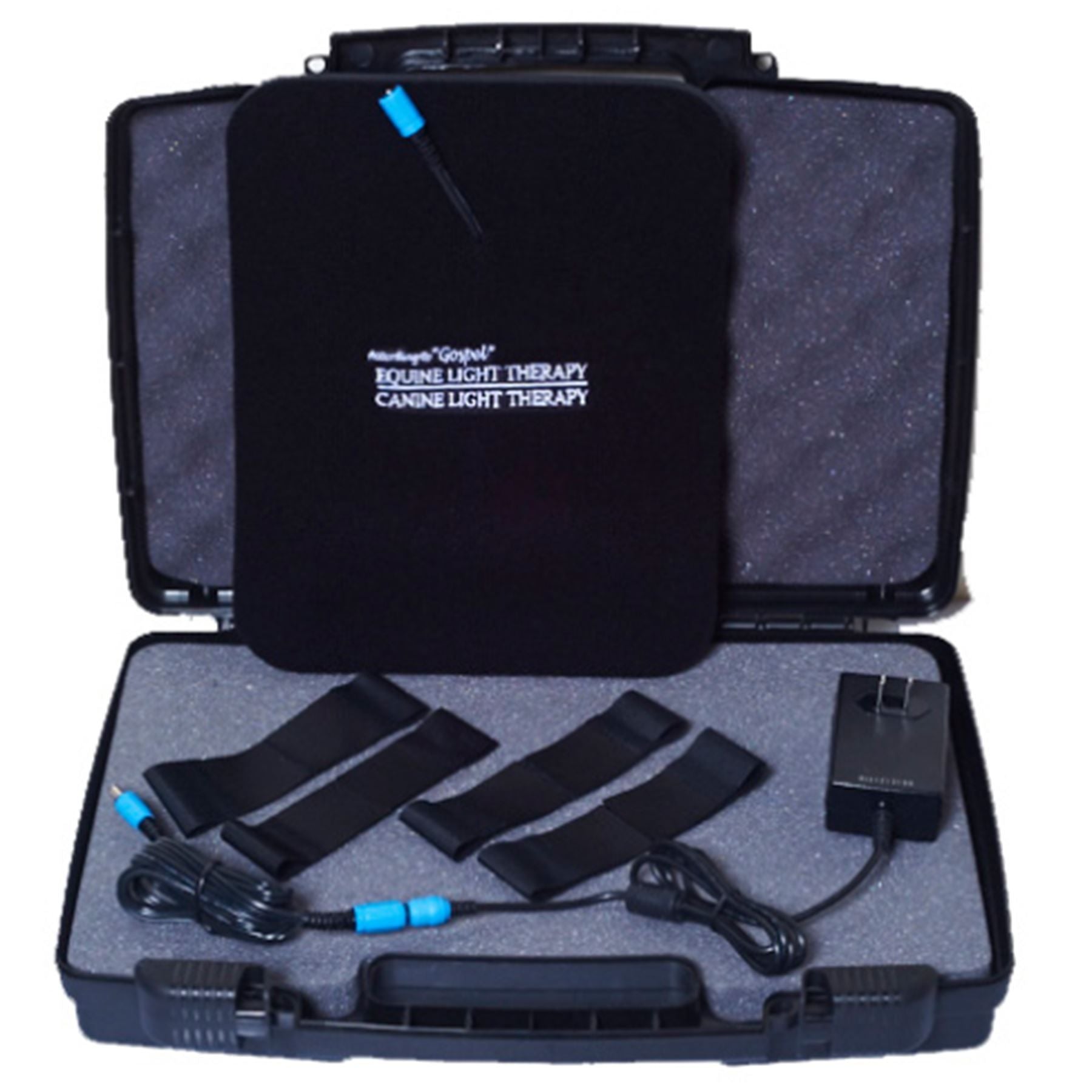 Equine Light Therapy® Medium Kit
