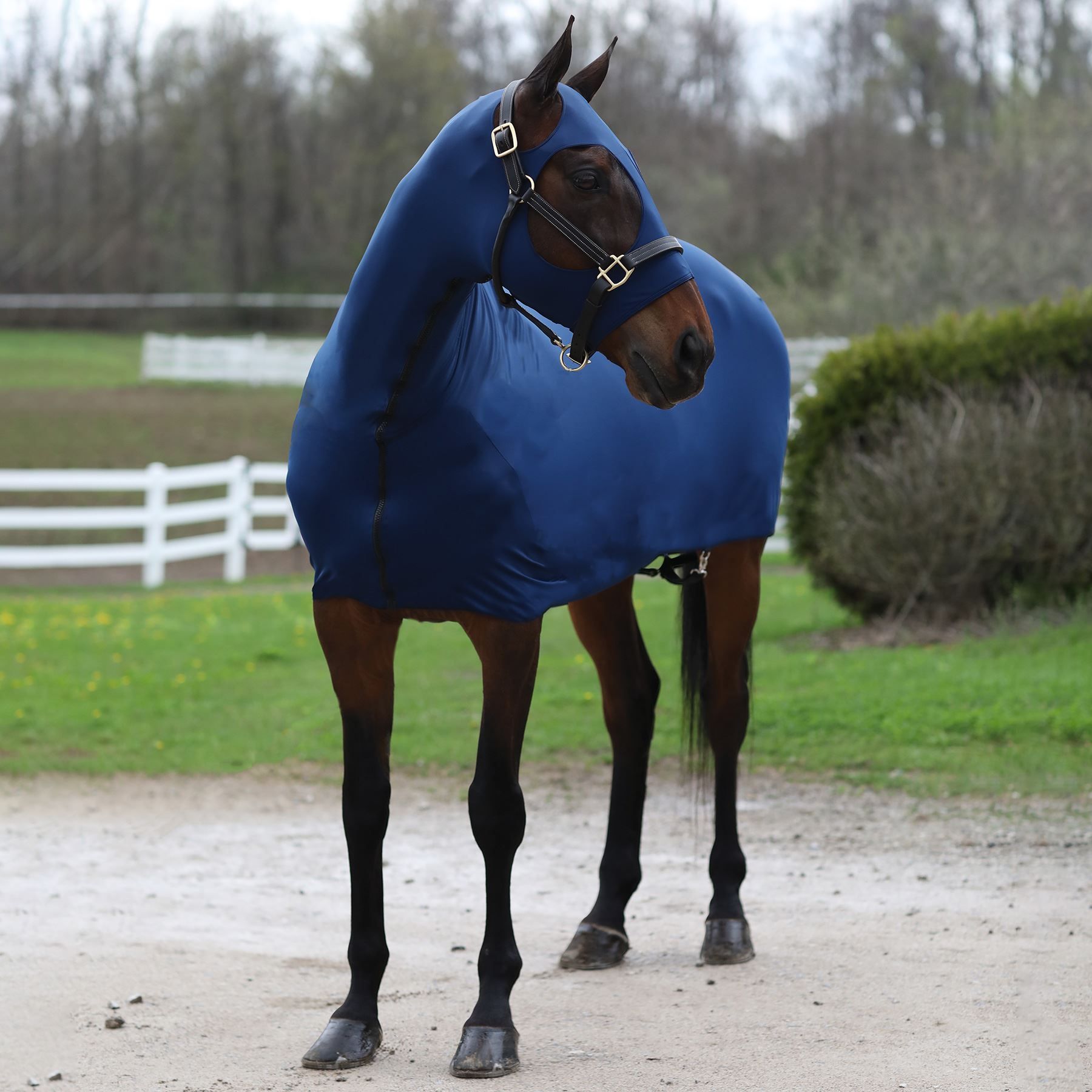 Sleazy Sleepwear™ Solid Full Body Slicker with Zipper