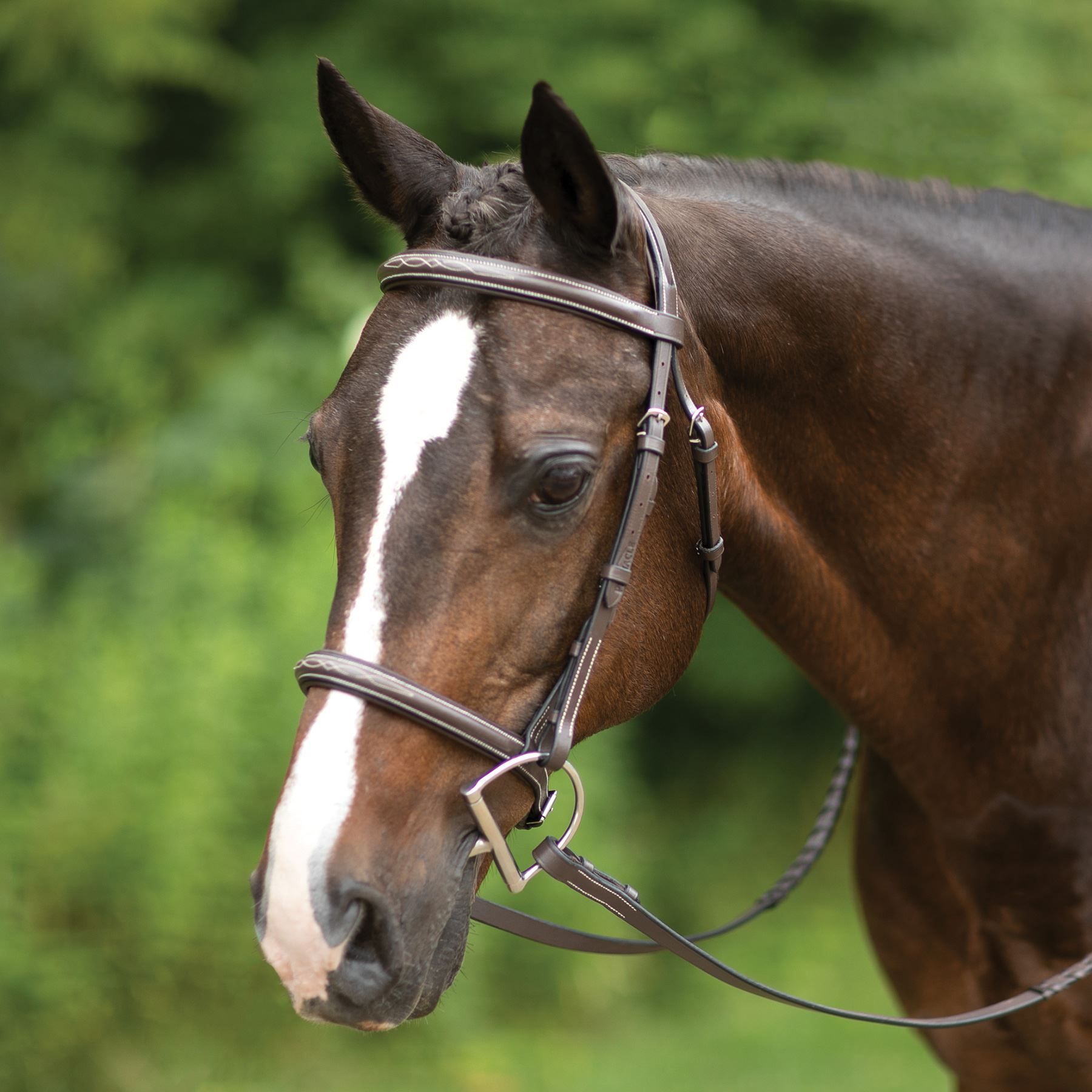 Pinnacle Comfort Plus® Hunter Bridle