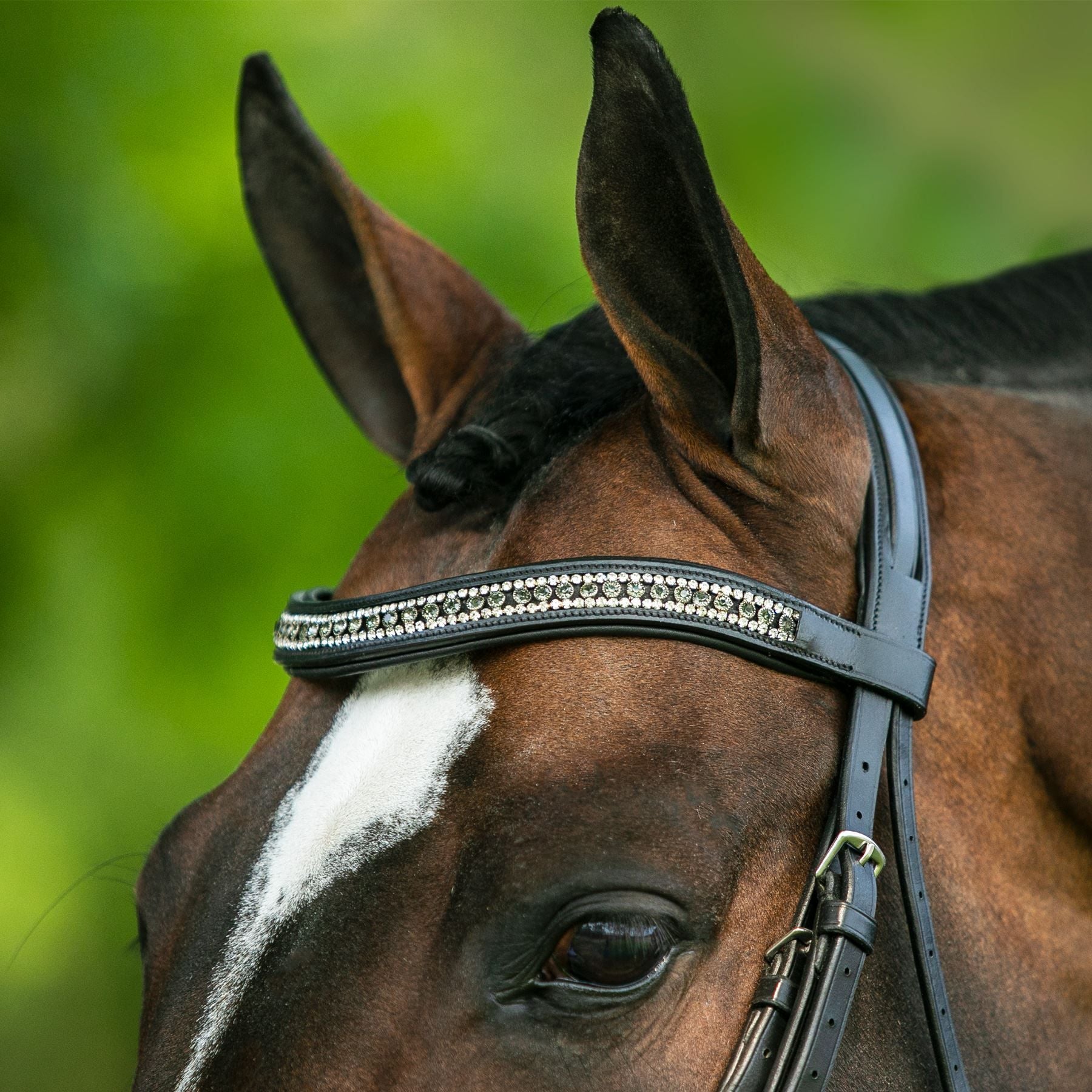 Joseph Sterling® Regal Padded Curved Crystal Browband