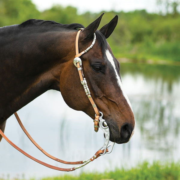 Schneiders® Cody One-Ear Double Ferrule Headstall