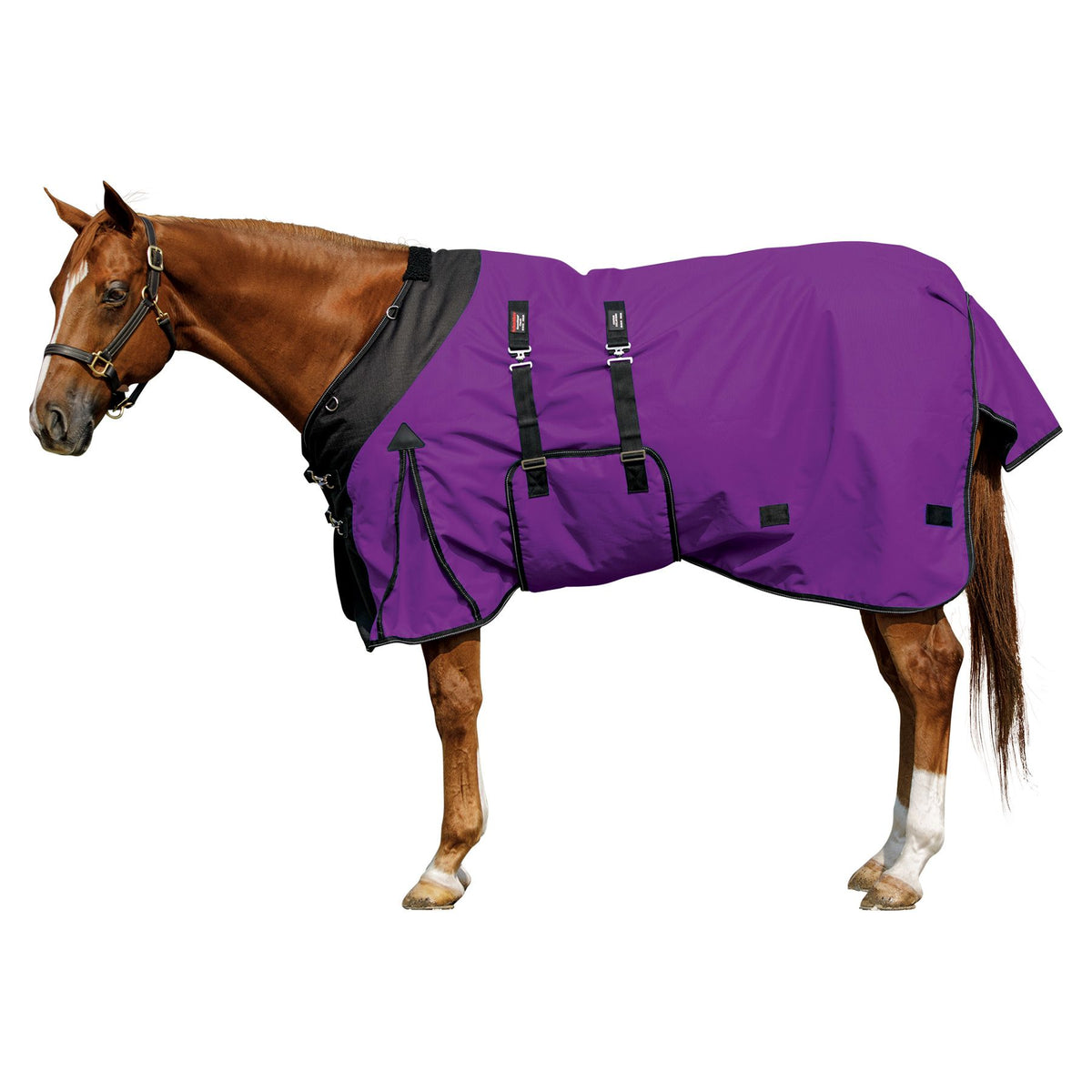 variant_image_merge_41156_purple
