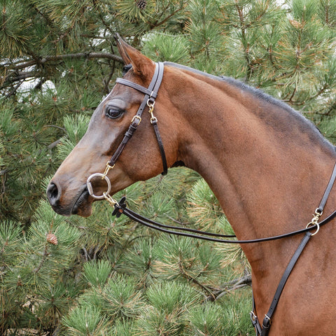Victor Supreme Bob Hart Training Bridle for Horses