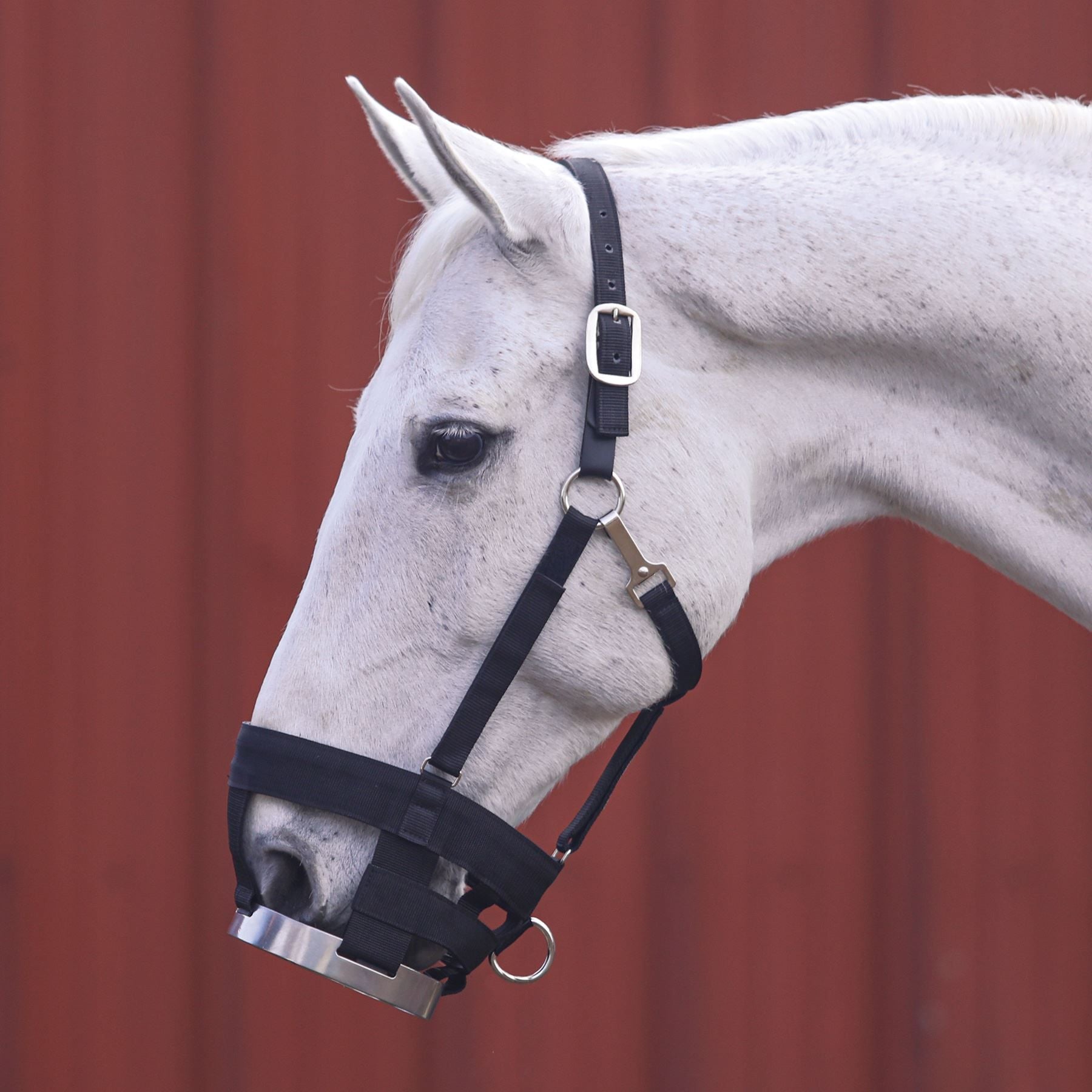 Dura-Tech® Breathe Rite Grazing Muzzle with Breakaway Halter