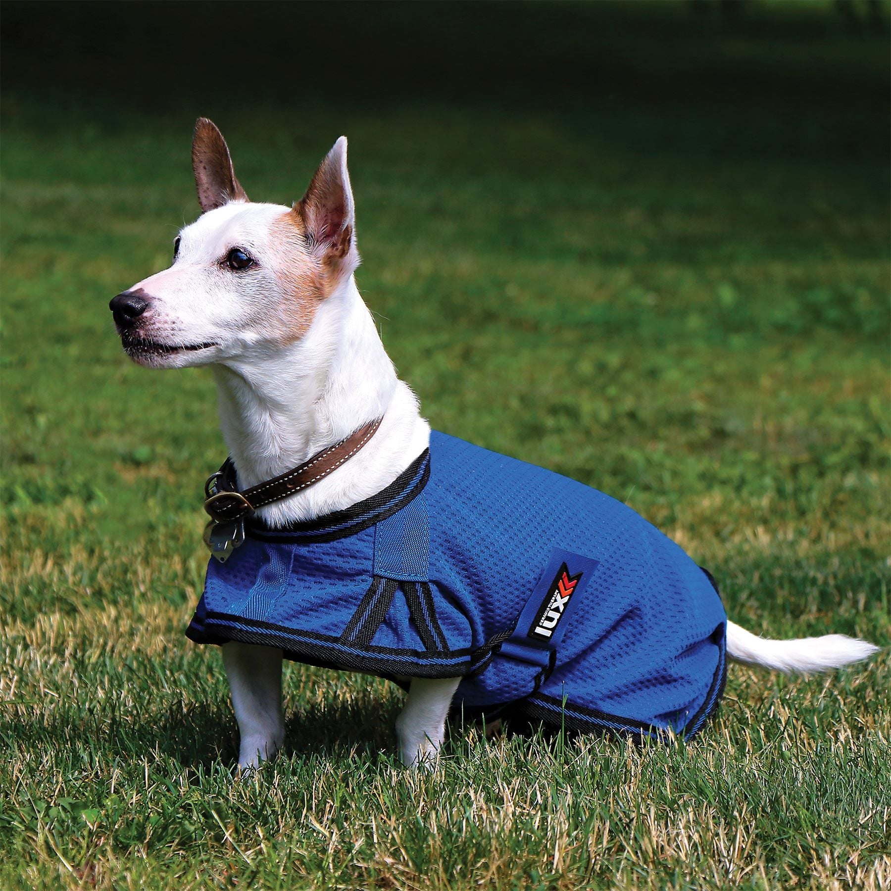 Lux® Ceramic Dog Sheets