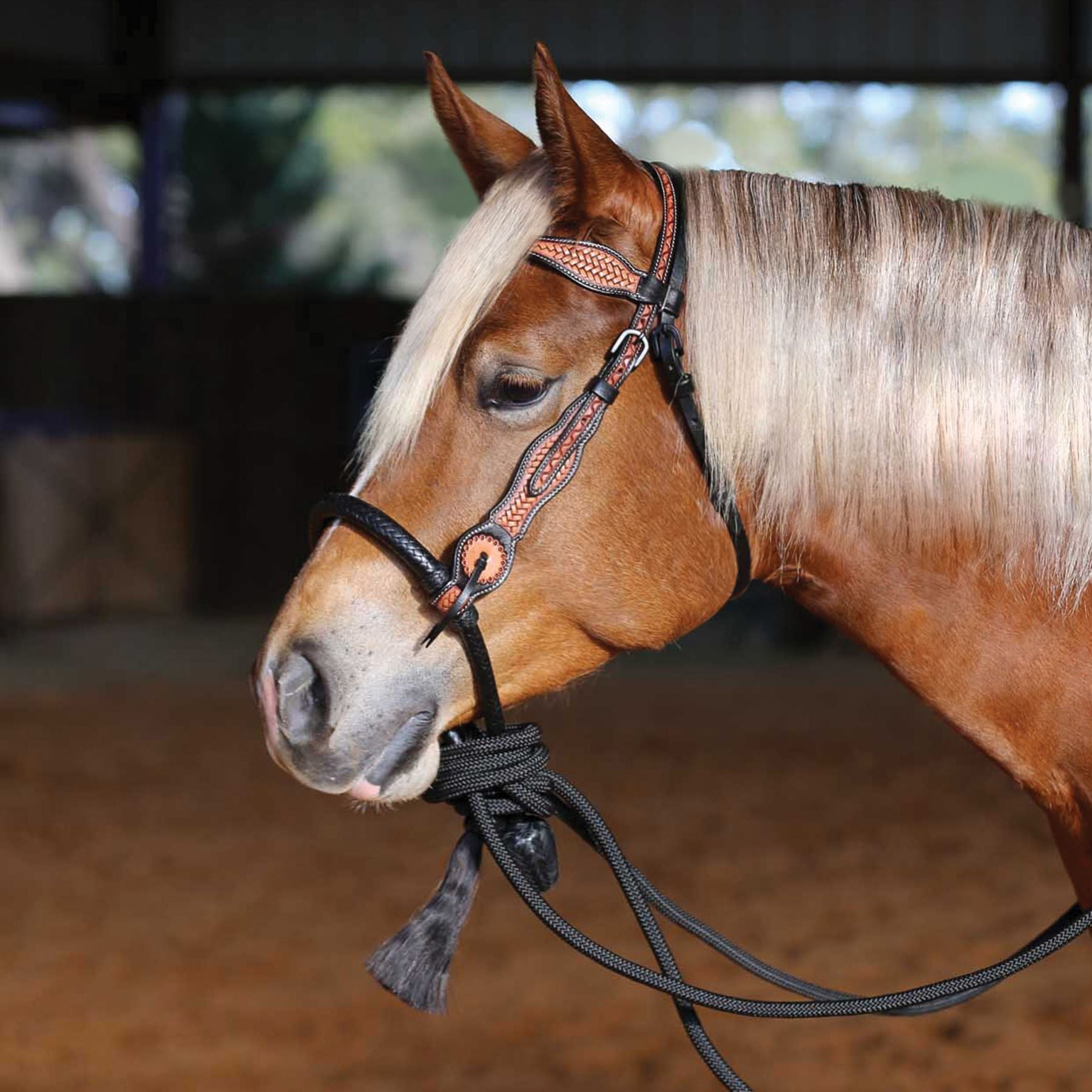 Schneiders® Tooled Two-Tone Browband Bosal Set