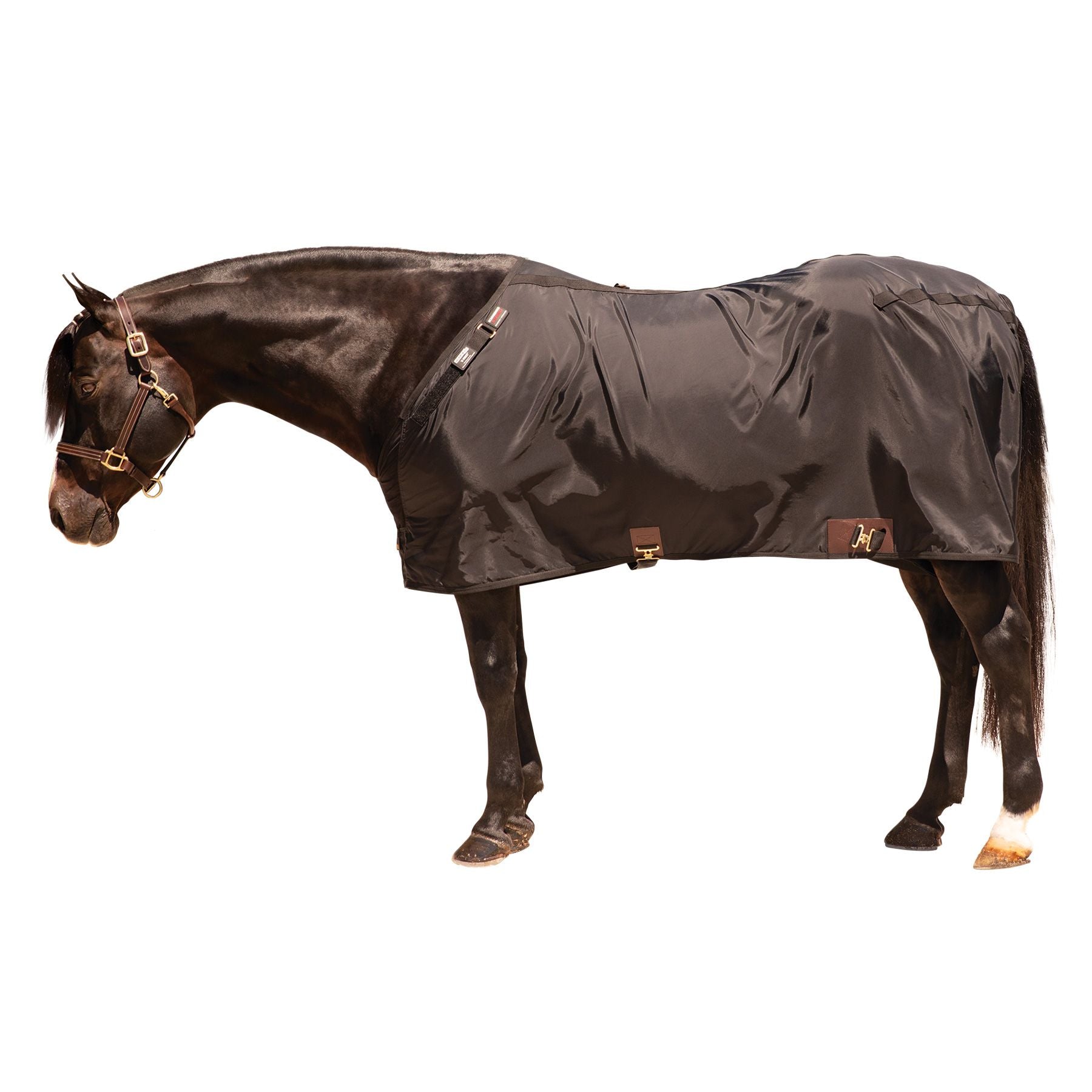 X-SPAND® Adjusta-Fit® V-Free® Wither Relief Deluxe 840D Nylon Stable Sheet