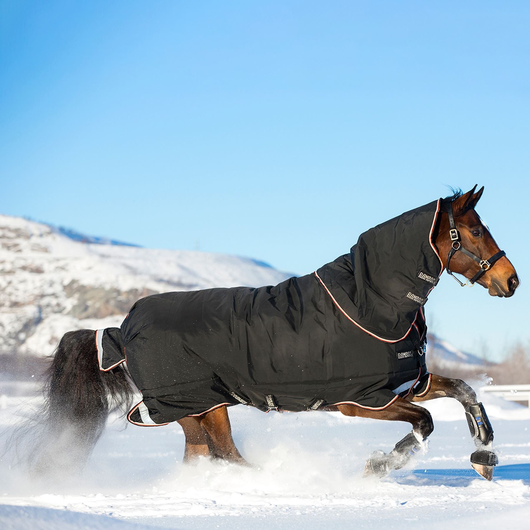 Horseware® Rambo® Supreme Heavy Weight Turnout Blanket
