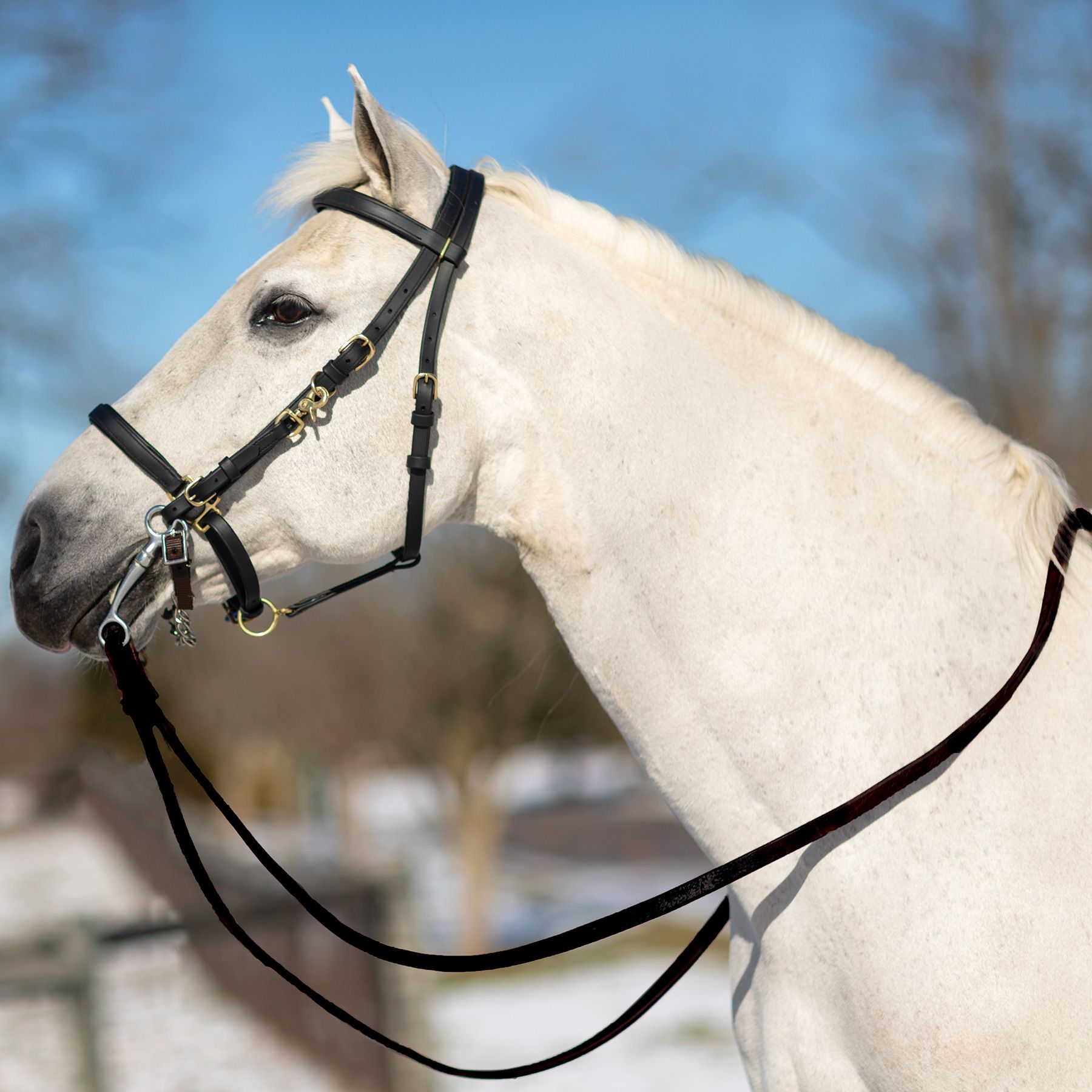 Dura-Tech All Weather Trail Halter and Bridle Combo, Black