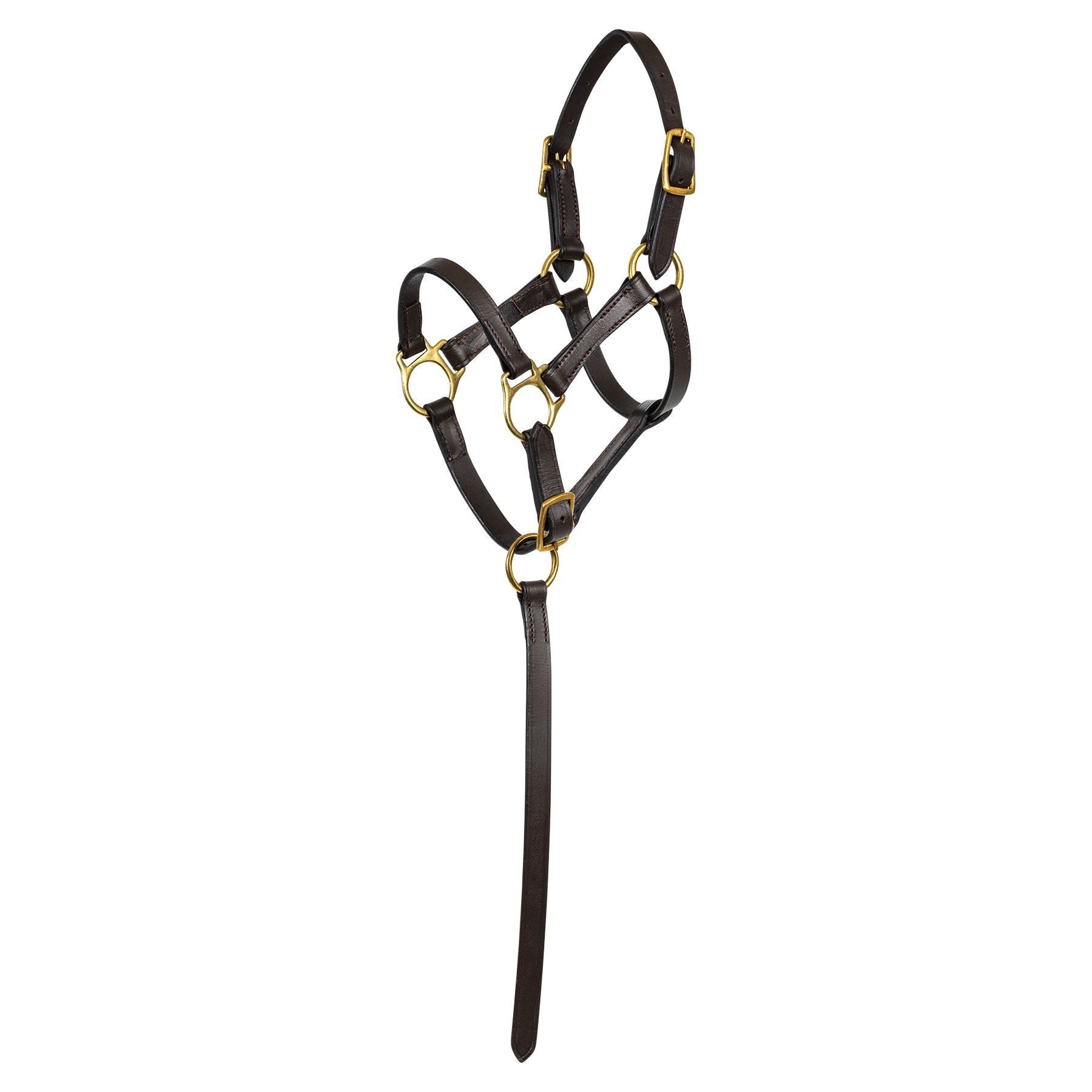 Premier® 2 in 1 Foal Halter
