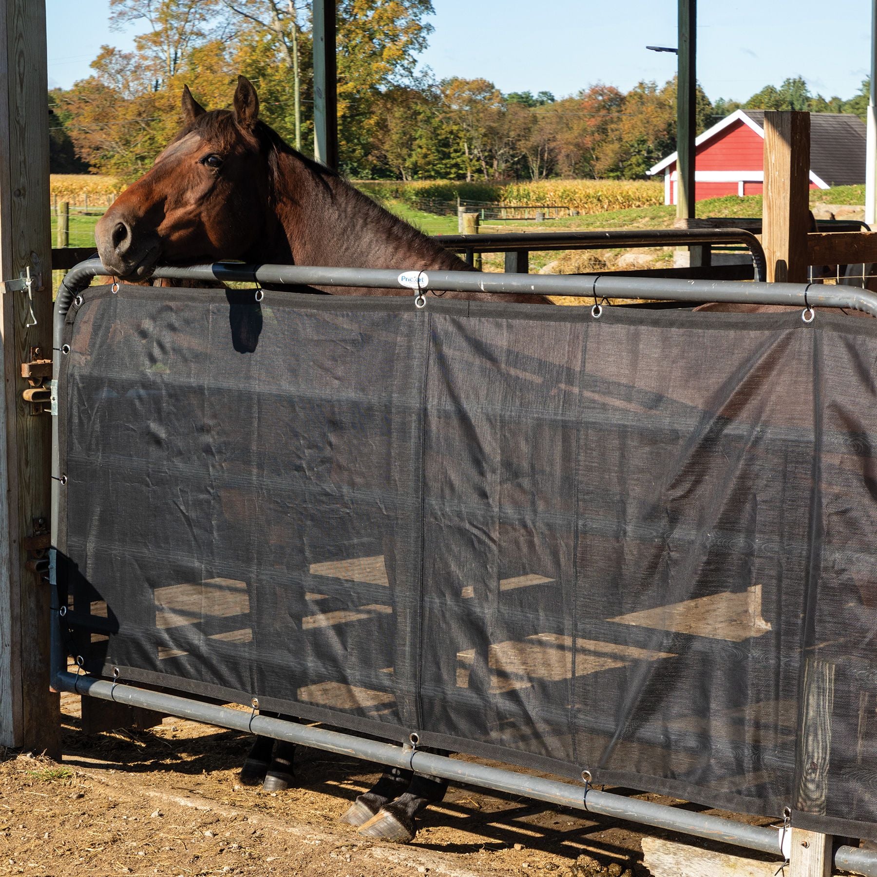 Schneiders® Stall Privacy and Sun-Blocker 12' x 5' Mesh Panel