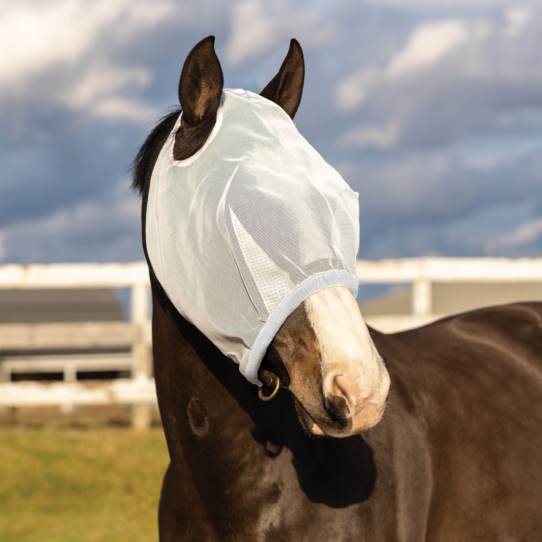 Schneiders® Dura-Mesh Original Fly Mask without Ears