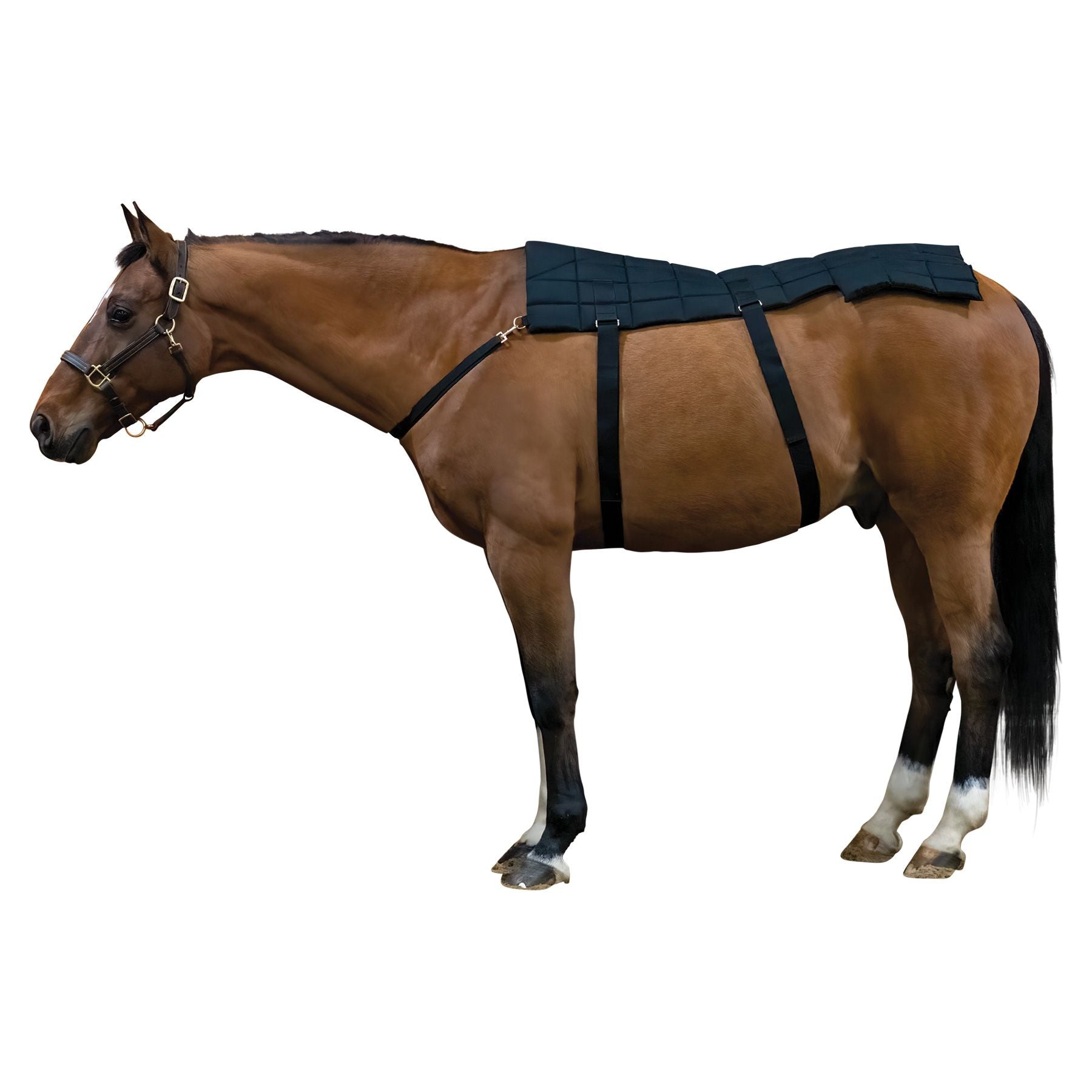 Dura-Tech® Horse Back and Hip Cooling Gel Pad