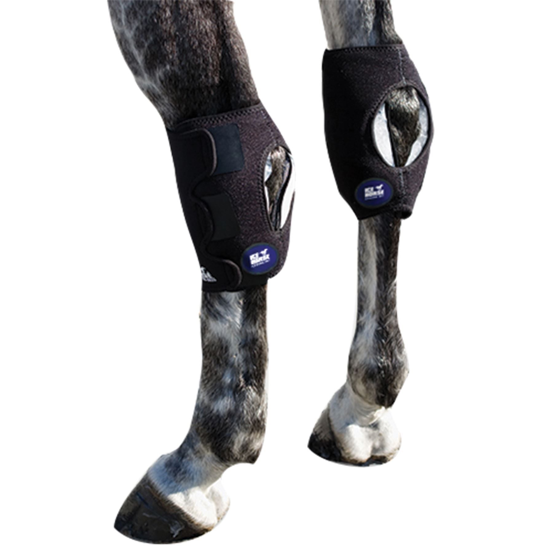 Ice Horse® Hock Wrap - Pair
