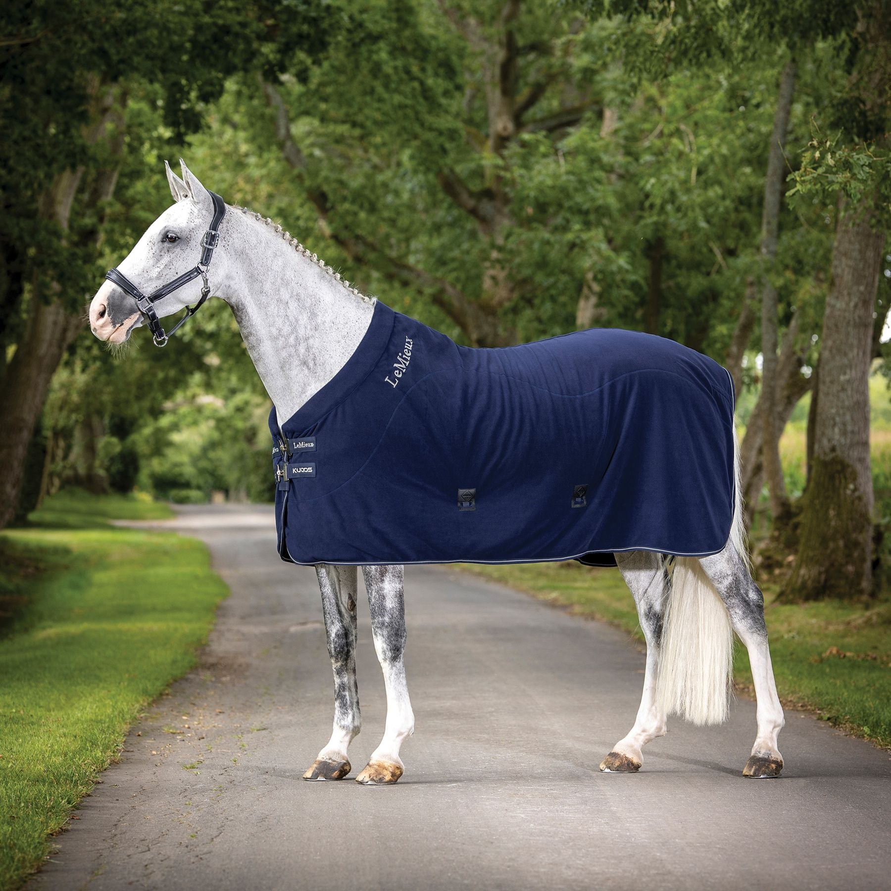 LeMieux® Kudos Fleece Cooler Rug