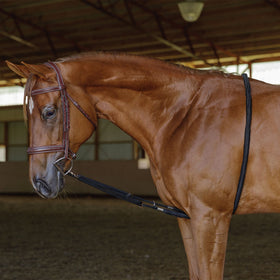 Schneiders® Lunging Aid