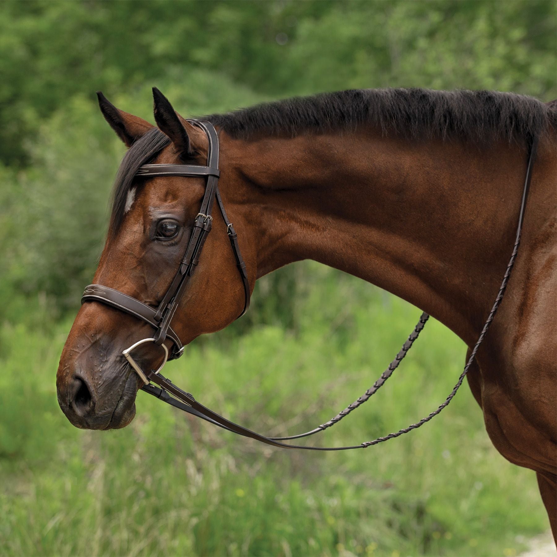 Schneiders® Flat Padded Hunter Bridle with Fancy Stitching
