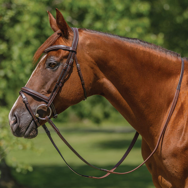 Schneiders® Monocrown Flash Bridle with Crystal Swoop Browband